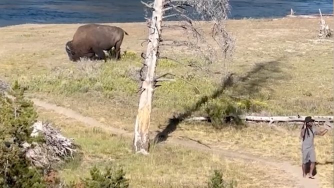 In the lower right corner of the frame, the man can be seen talking about how close he was to the bull.